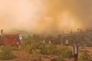 Orman Yangını Dumanı Hayatı Tehdit Ediyor